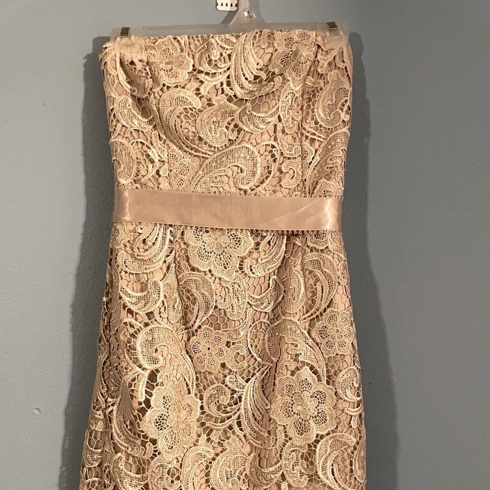 ADRIANNA PAPELL GORGEOUS LACE GODDESS DRESS WITH SATIN RIBBON